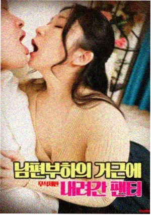 高清观影术语更新记录配图